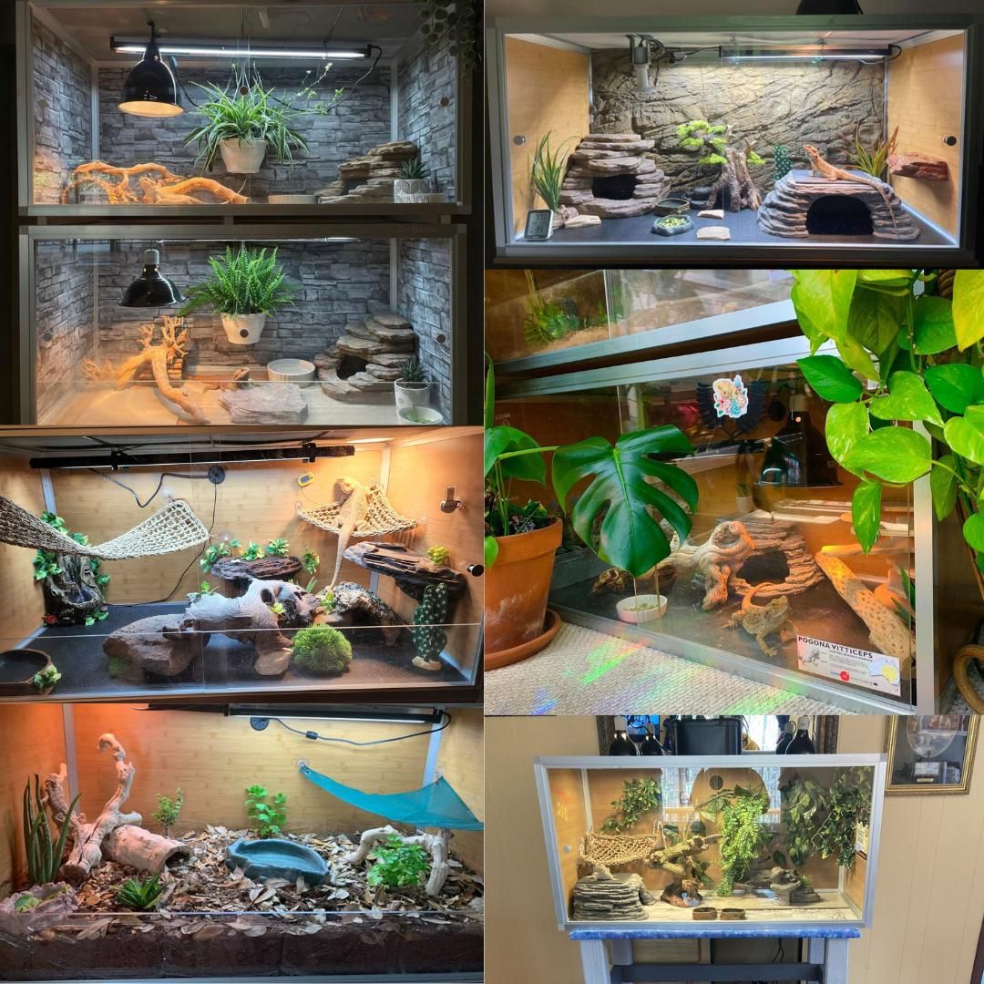 4'x2'x2' Original Wood Panel Reptile Enclosure by Zen Habitats for